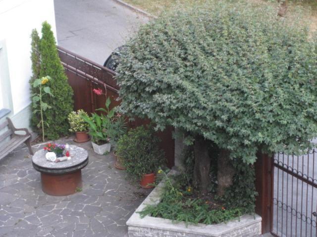 Ferienwohnung Lienz Egger Kültér fotó